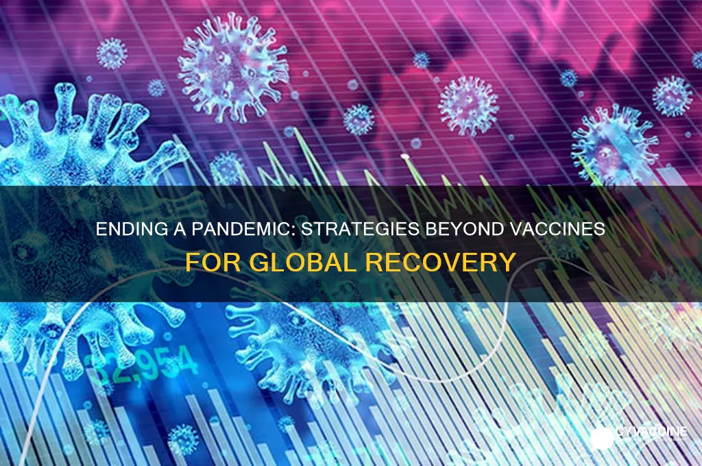 how does a pandemic end without a vaccine