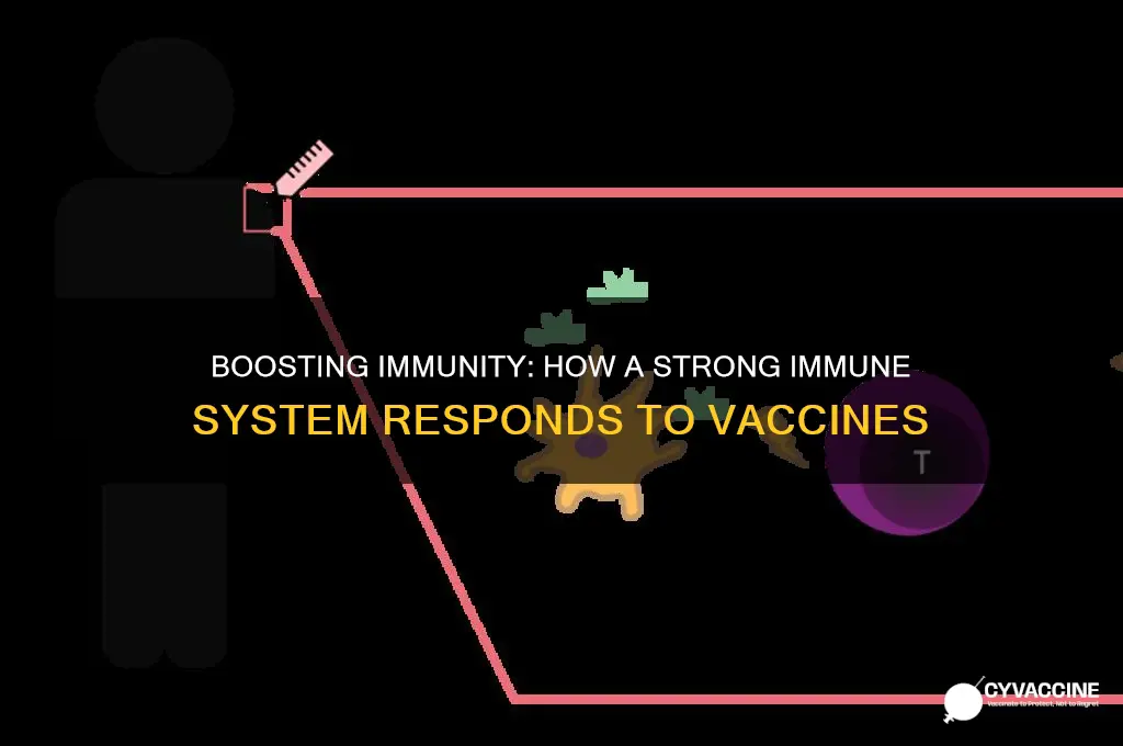 how does a strong immune system react to a vaccine