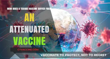 Toxoid vs. Attenuated Vaccines: Key Differences and How They Work