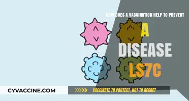 How Vaccinations Strengthen Immunity to Prevent Diseases Effectively