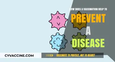 Vaccinations: How They Strengthen Immunity to Prevent Diseases Effectively