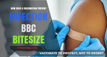 How Vaccines Prevent Infections: A BBC Bitesize Guide