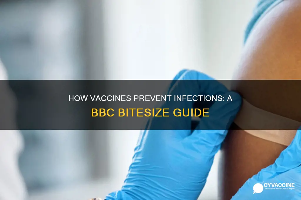 how does a vaccination prevent infection bbc bitesize