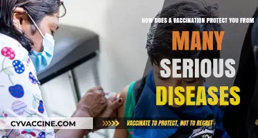 Vaccination: Your Powerful Shield Against Serious Diseases Explained