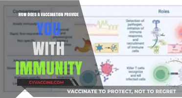 Understanding Vaccines: How Immunizations Build Lasting Immunity in Your Body