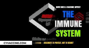 Understanding Vaccines: How They Strengthen Your Immune System's Defense