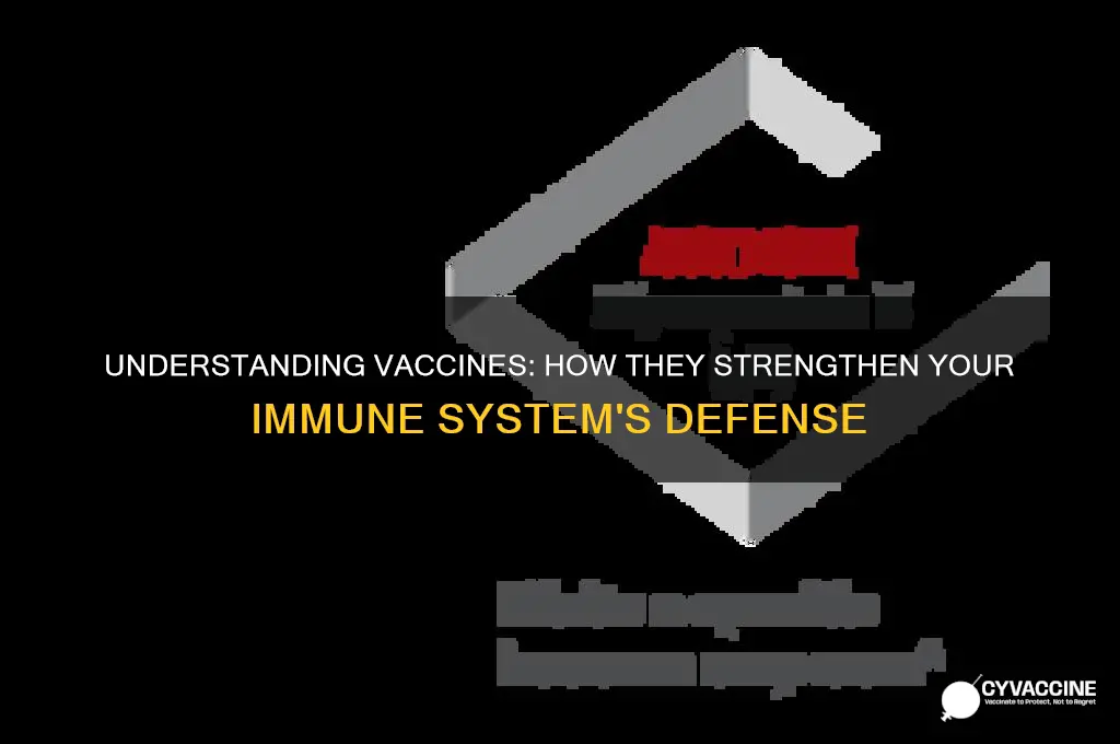 how does a vaccine affect the immune system