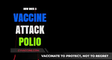 Understanding Polio Vaccines: How They Target and Eradicate the Virus