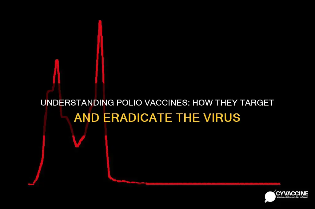 how does a vaccine attack polio