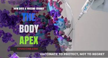 How Vaccines Transform Your Body's Immune System at the Apex