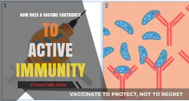Vaccines and Active Immunity: Understanding the Body's Defense Mechanism
