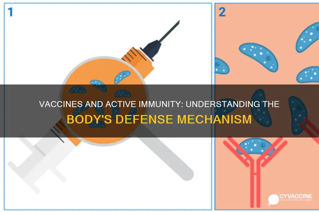how does a vaccine contribute to active immunity
