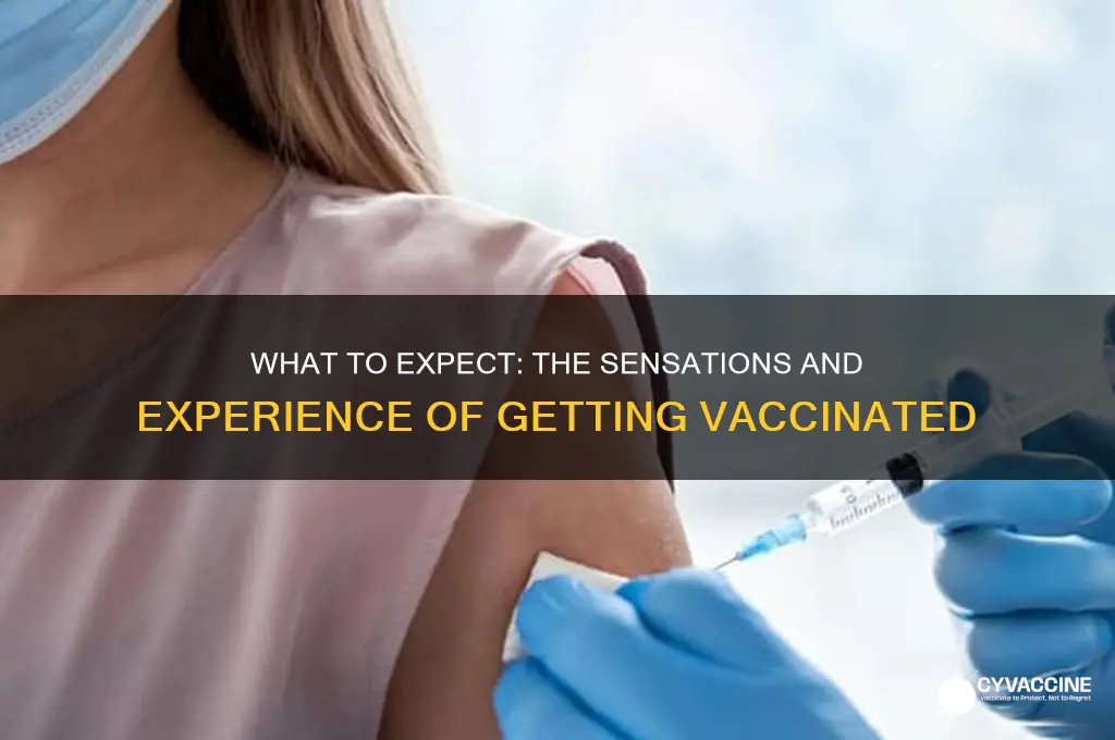 how does a vaccine feel like