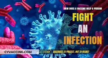 Vaccines: Empowering Your Immune System to Combat Infections Effectively