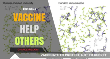 Vaccines Protect You and Your Community: The Power of Herd Immunity