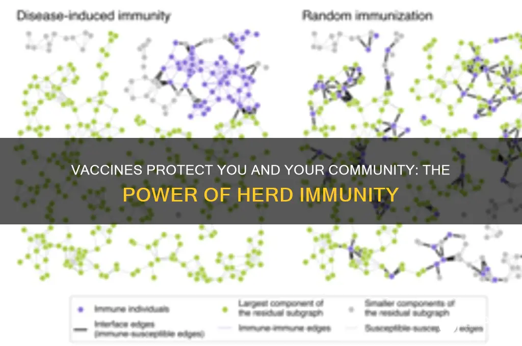 how does a vaccine help others