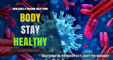 Vaccines: Strengthening Your Immune System for Optimal Health and Wellness
