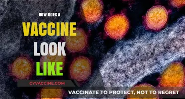 Unveiling the Microscopic World: What Does a Vaccine Really Look Like?