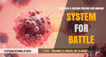 Vaccines: Training Our Immune System to Fight Future Threats