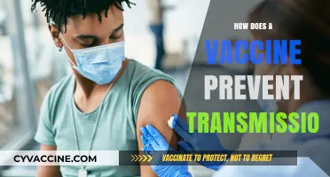 Understanding Vaccines: How They Block Transmission and Protect Communities