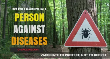 Understanding Vaccines: How They Shield Your Body from Diseases