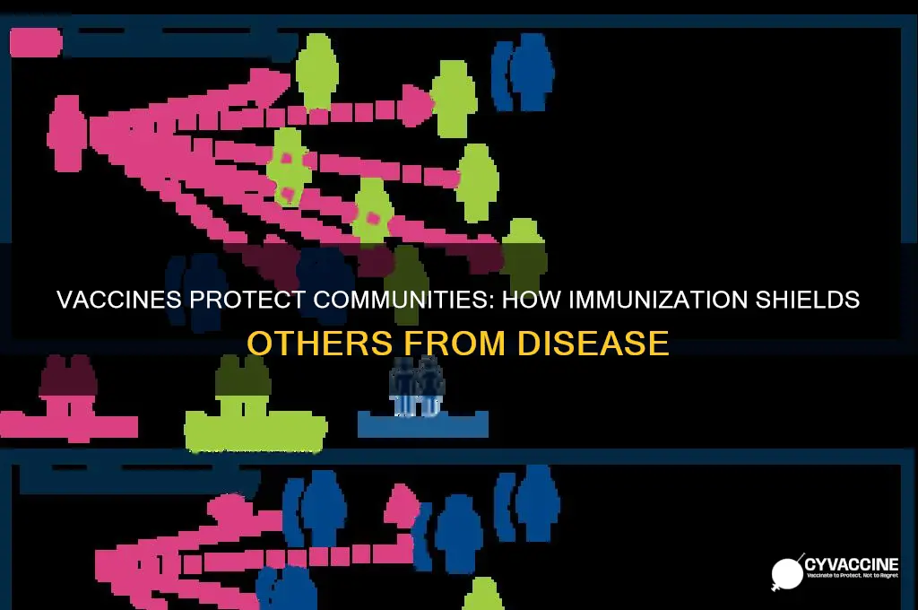 how does a vaccine protect others