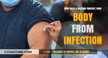 Vaccines: How They Train Your Immune System to Fight Infections