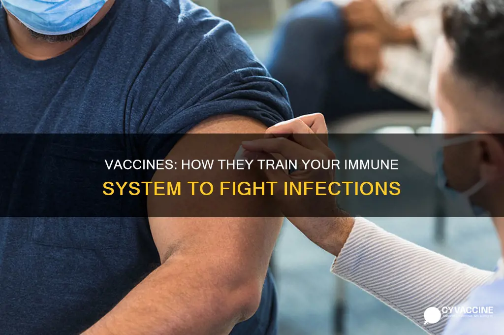 how does a vaccine protect your body from infection