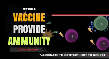 Understanding Vaccines: How They Train Your Immune System for Immunity