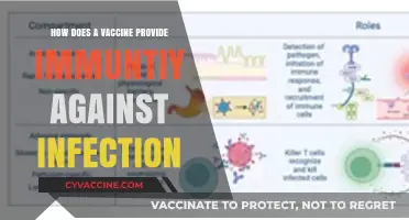 Understanding Vaccines: How They Build Immunity Against Infections