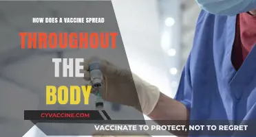 How Vaccines Travel: Understanding Immune System Distribution Mechanisms