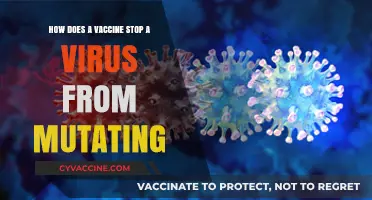 Vaccines vs. Viruses: How Immunization Prevents Deadly Mutations