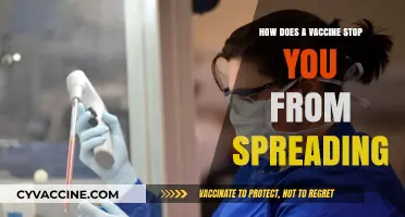 How Vaccines Prevent Transmission: Stopping the Spread Effectively