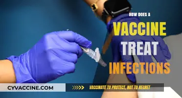 Understanding Vaccines: How They Combat and Prevent Infections Effectively