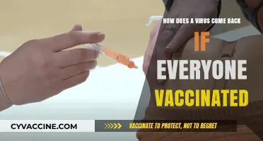 Vaccinated Yet Vulnerable: Understanding Viral Resurgence in Immunized Populations