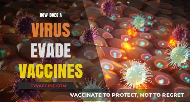 How Viruses Outsmart Vaccines: Mechanisms of Immune Evasion Explained