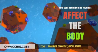 Aluminum in Vaccines: Understanding Its Role and Impact on the Body