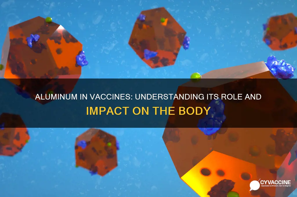 how does aluminum in vaccines affect the body