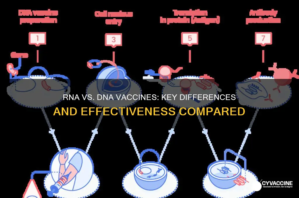 how does an rna vaccine compare to a dna vaccine