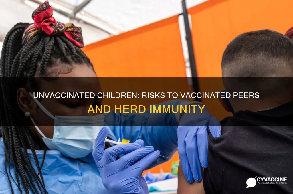 how does an unvaccinated child hurt other vaccinated child