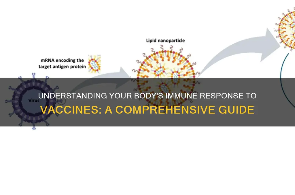 how does body react to vaccine
