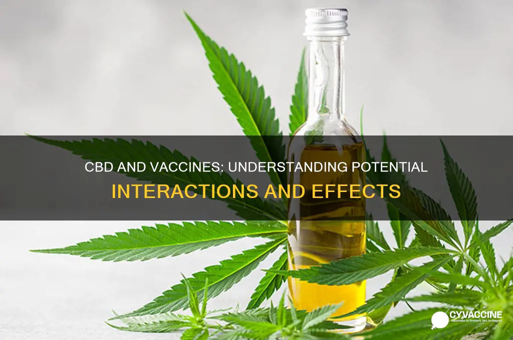 how does cbd interact with vaccines