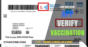 How Clear App Verifies Vaccination Status: A Detailed Guide
