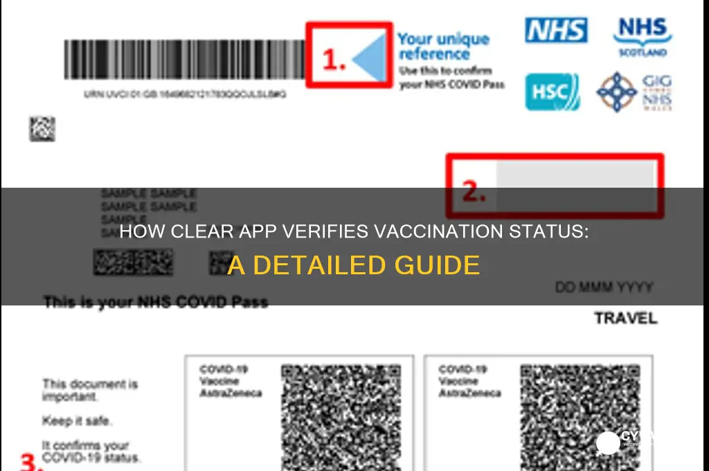 how does clear app verify vaccination