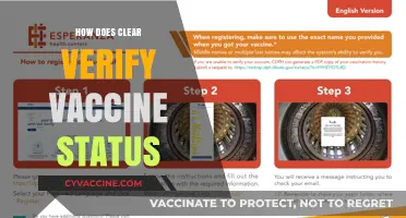 How Clear Verifies Vaccine Status: A Comprehensive Guide to the Process