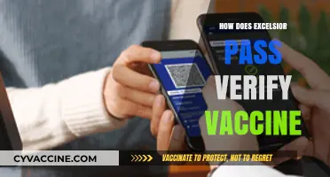 Excelsior Pass Vaccine Verification: How It Works and Ensures Safety