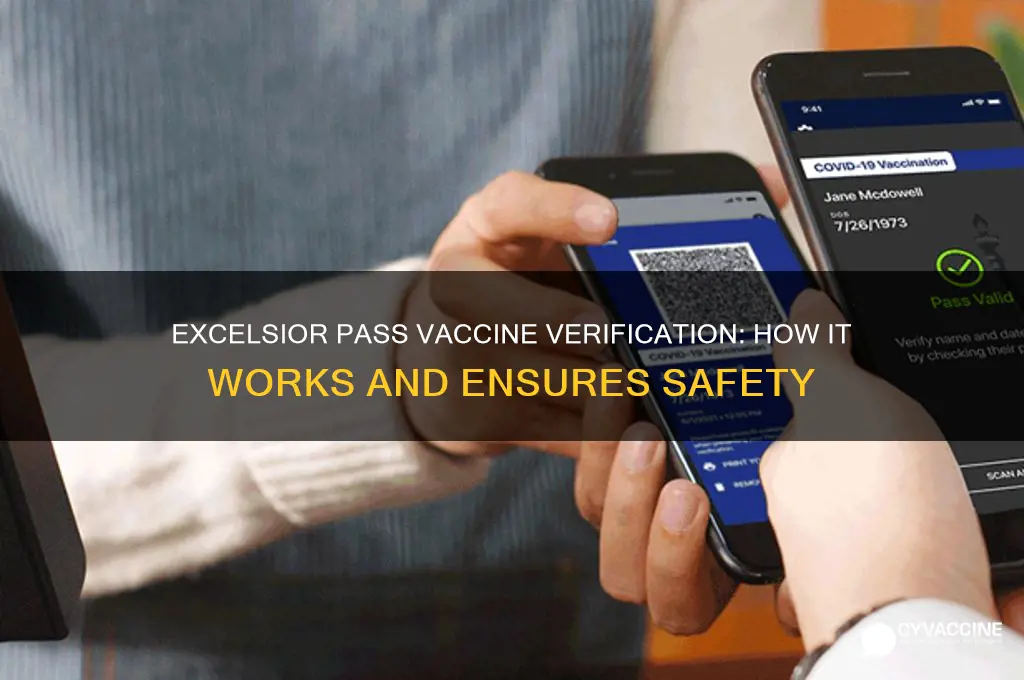 how does excelsior pass verify vaccine