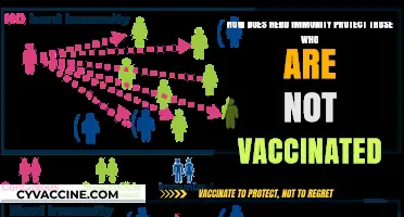 Herd Immunity: Safeguarding the Unvaccinated Through Community Protection