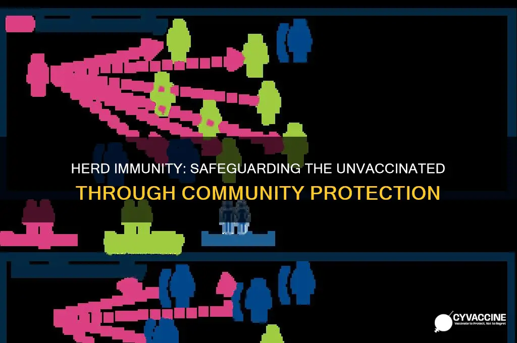 how does herd immunity protect those who are not vaccinated