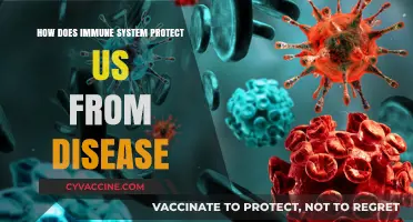 The Immune System: Our Body's Defense Mechanism